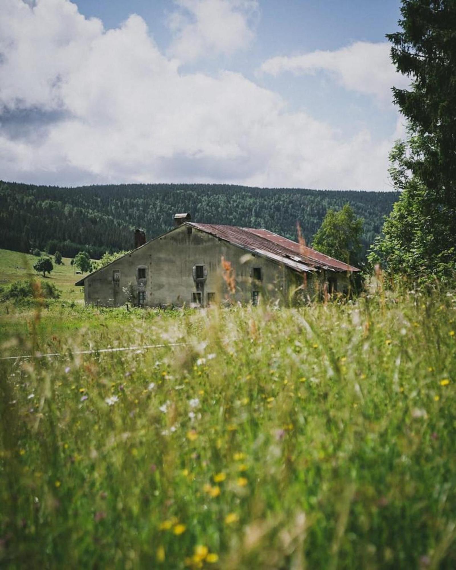 La Petite Fille Des Rivieres Apartment Foncine-le-Bas ภายนอก รูปภาพ